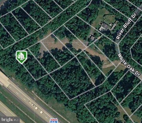 Lot 19 River Bluff Dr - Photo 1