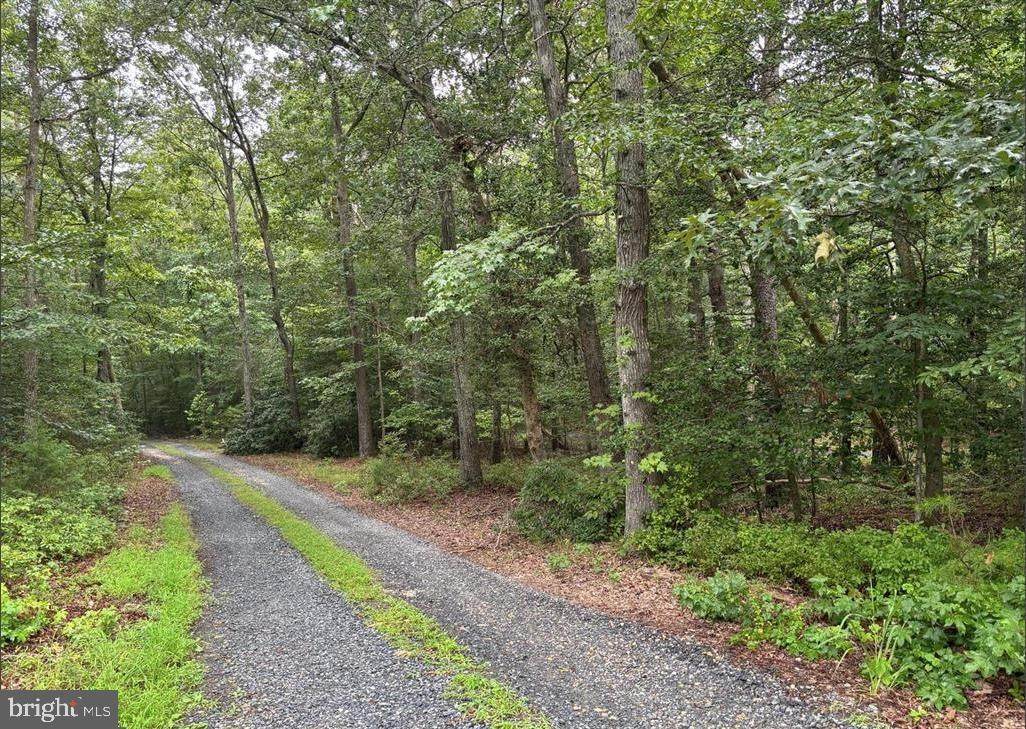 16661 Bald Eagle School Road - Photo 1