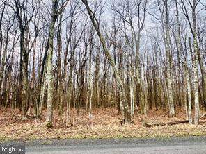 TBD 15.75 ACRES BETHLEHEM ROAD - Photo 1