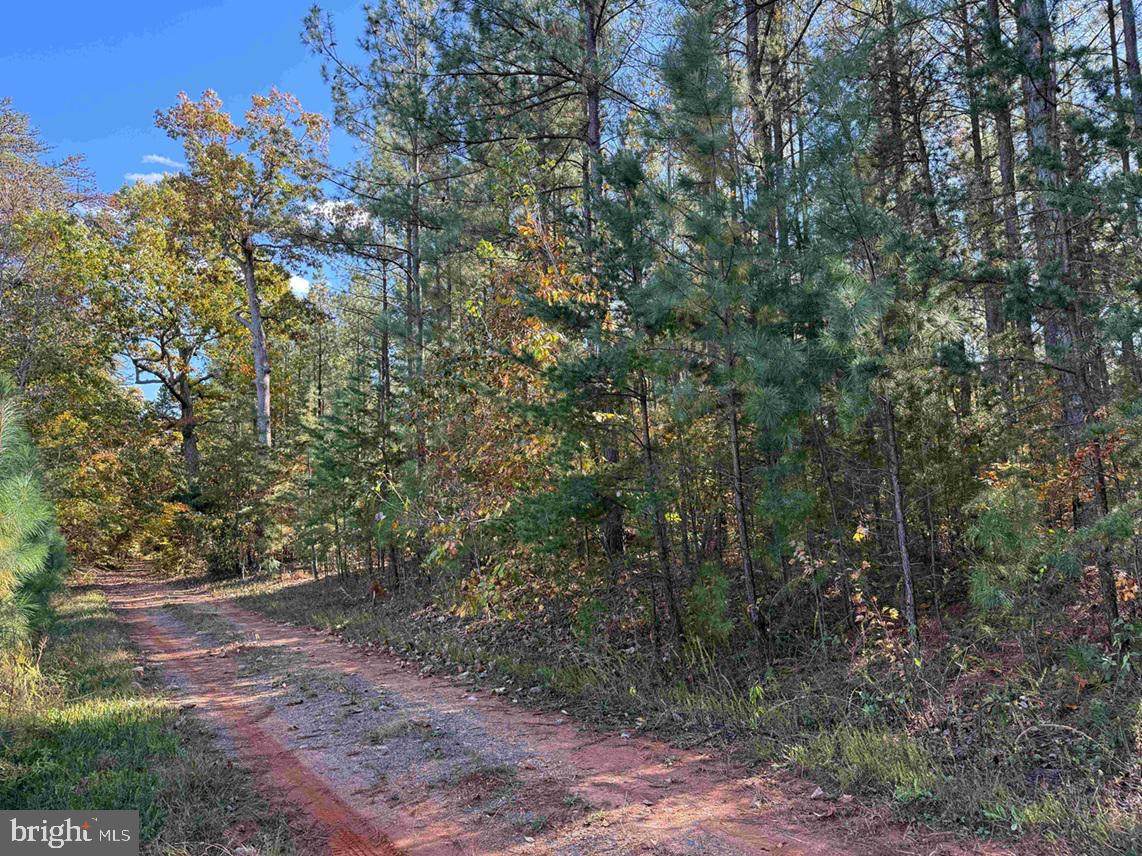  Off Of Shores Road (Tract: Tanager Et2 2020) - Photo 1