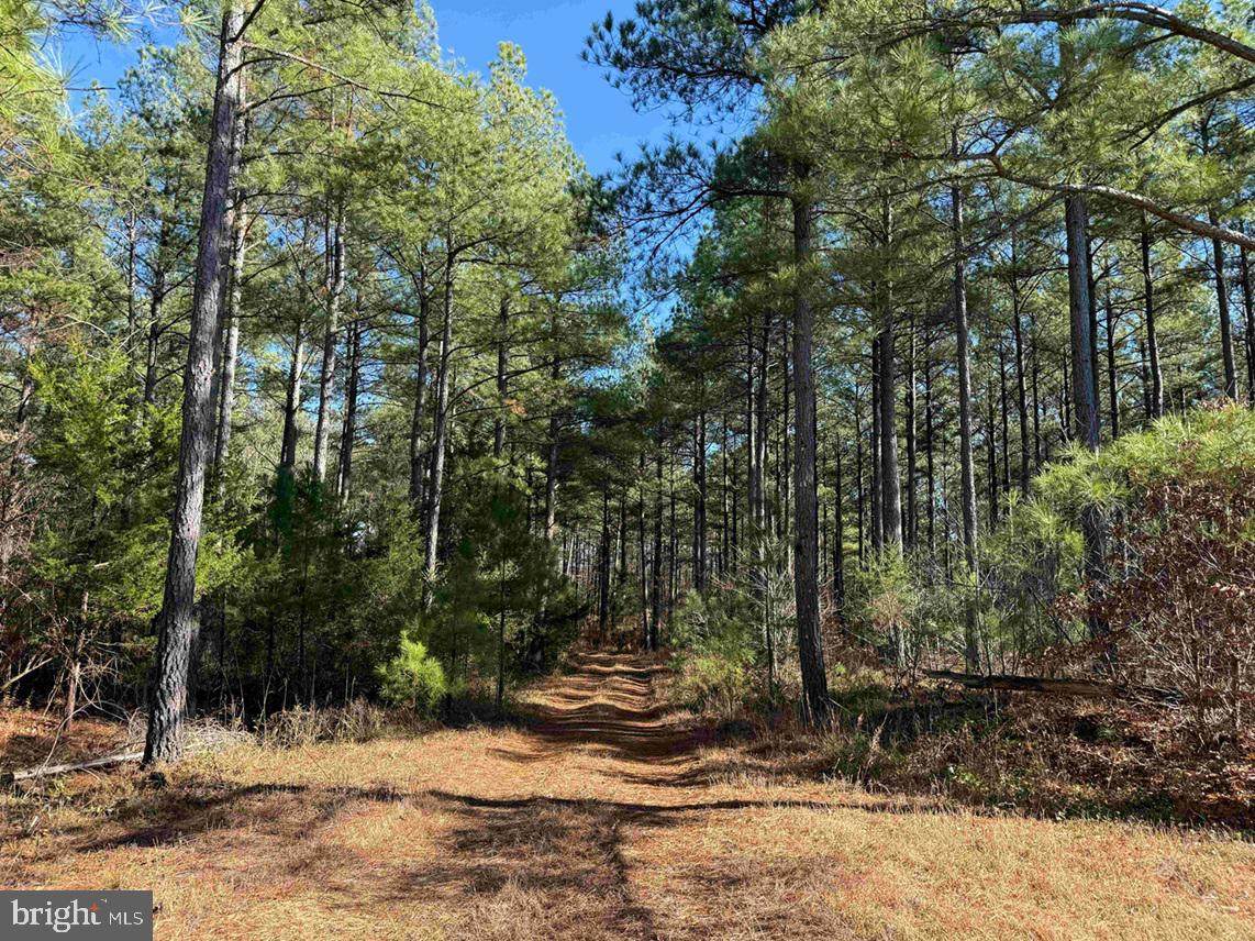  Off Of Diana Mill Road (Tract: Tanager Et2 2023 - Photo 1