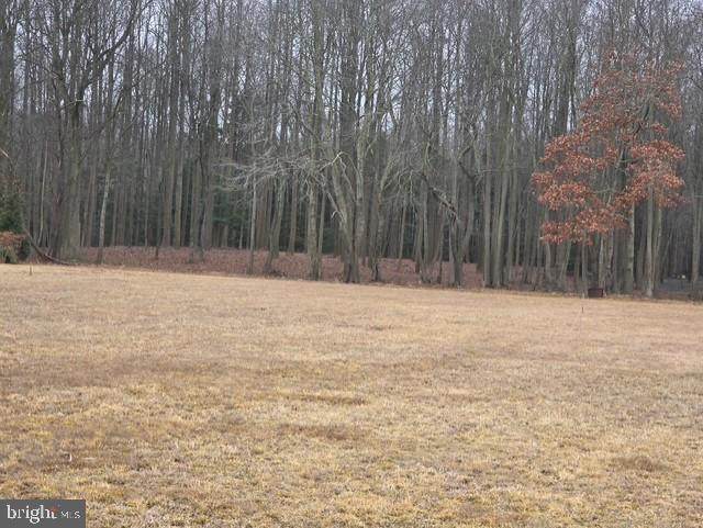10168 Rabbit Ridge Lane - Photo 1