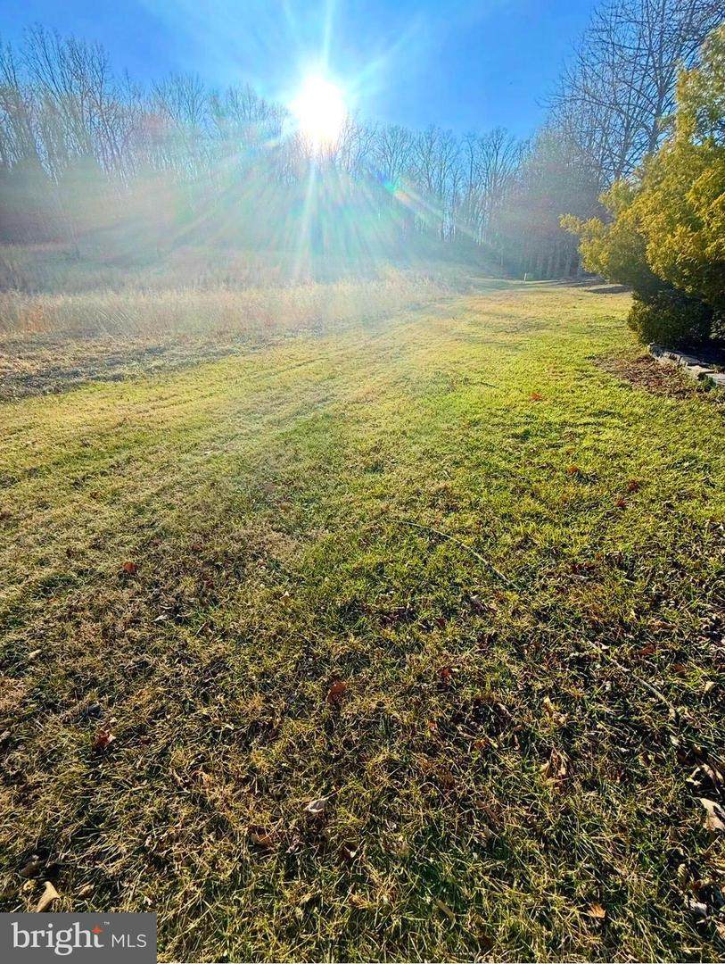  Winchester Road - Photo 1