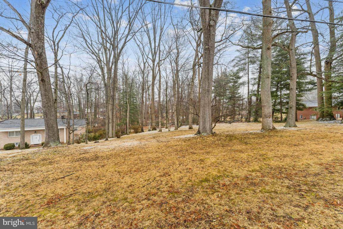  Bonnie Avenue - Photo 1