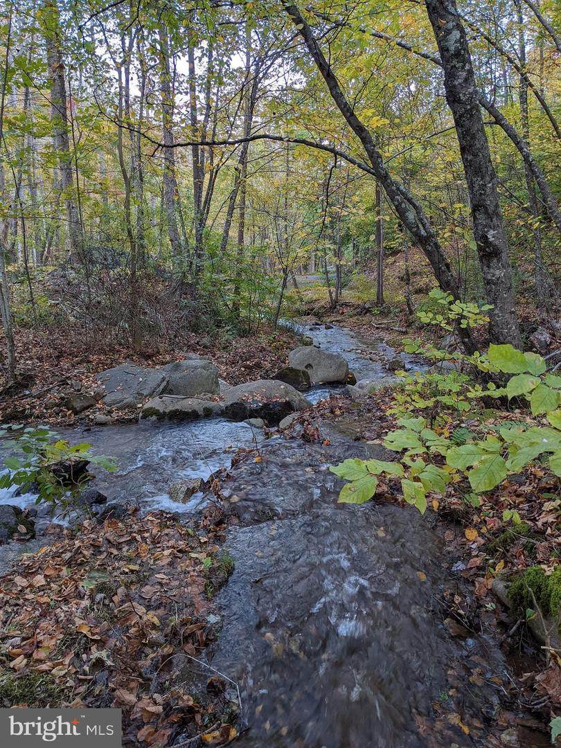 TBD Perry Lane - Photo 1