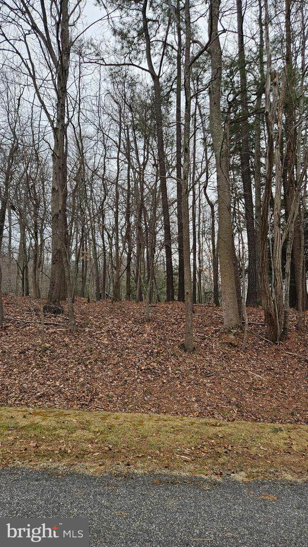 Lot 20 Hidden Lake Dr. - Photo 1