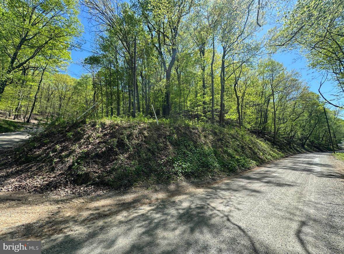 Lot 45 Timber Lane - Photo 1