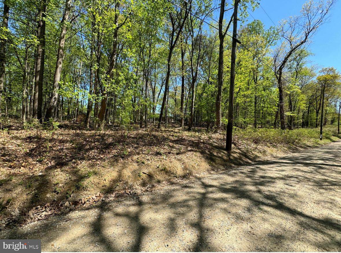 Lot 92 Honeysuckle Lane - Photo 1