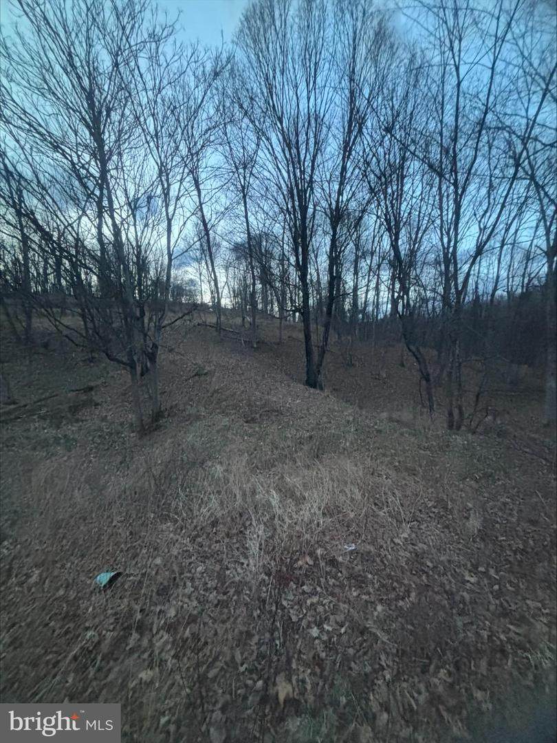  Lost Run - Photo 1