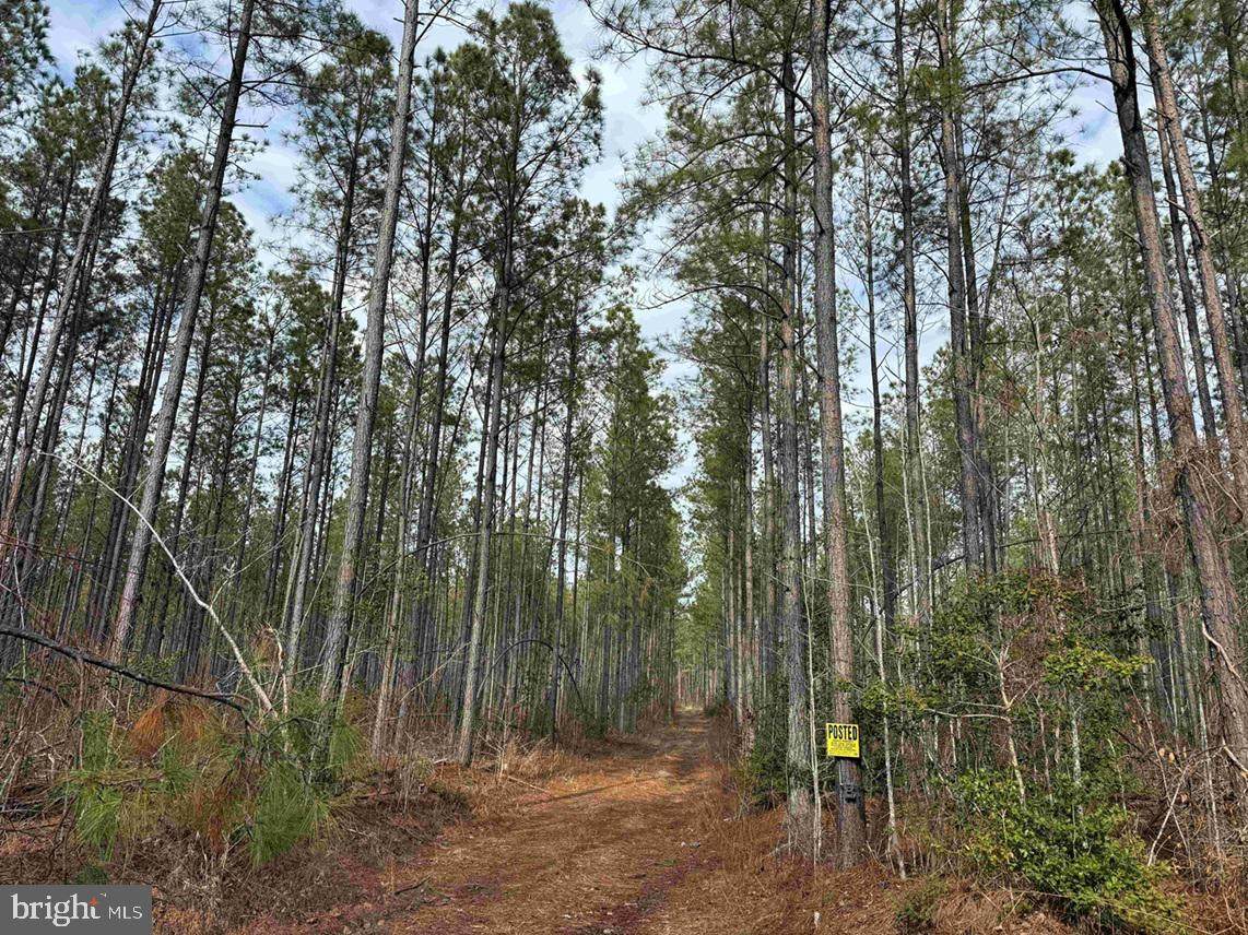  Dogwood Drive (Tract: Tanager Et2-2006) - Photo 1