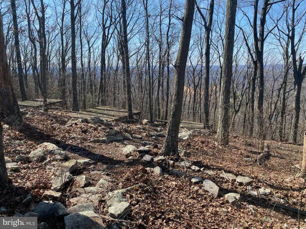 83 Bobcat Trail - Photo 1