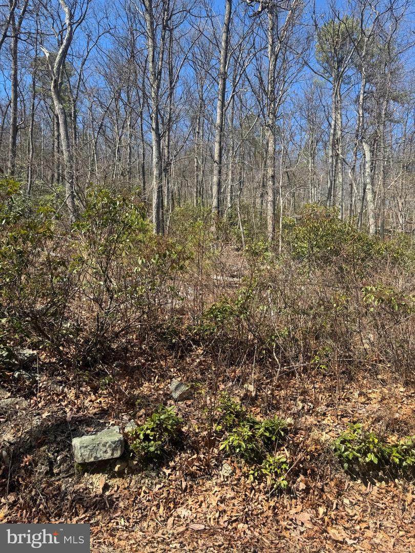  Fox Trail - Photo 1