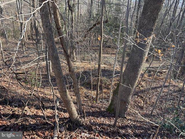 Lot 6 Bald Eagle Dr - Photo 1