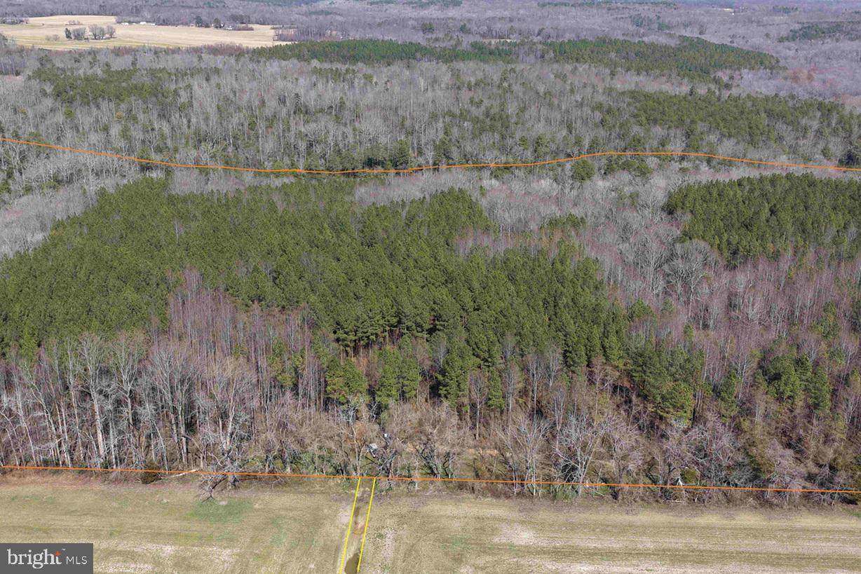  Cedar Field Road (Tract: Tanager Et2-2003) - Photo 1