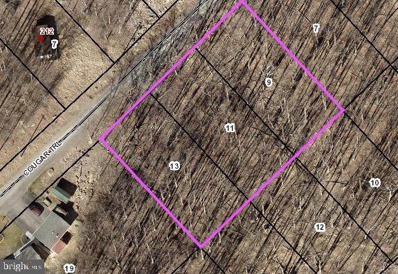 Lot 9, 11, 13 Cougar Trail - Photo 1