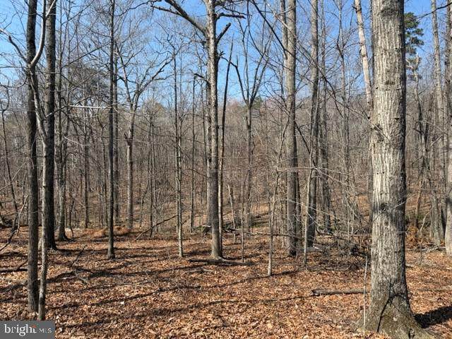  Countryside Lane - Lot 3 - Photo 1