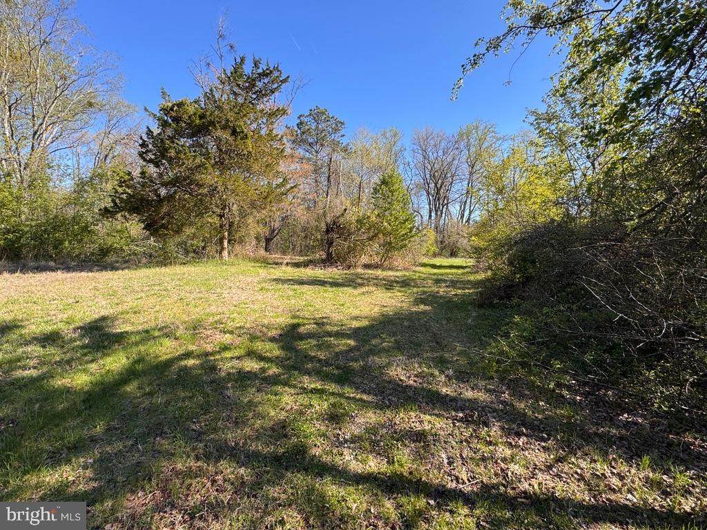 https://bt-photos.global.ssl.fastly.net/brightmls/orig_boomver_1_804741608184-2.jpg
