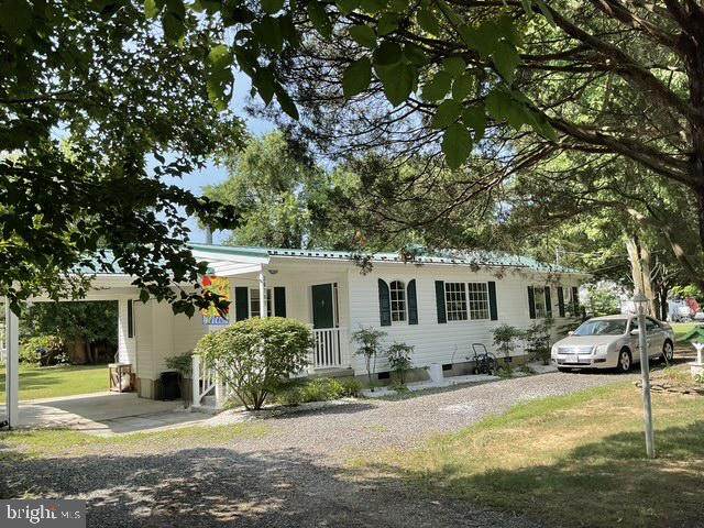 36797 Ricardo Drive - Photo 1
