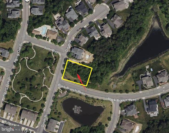 0 Dinah & Black Branch Parkway - Photo 1