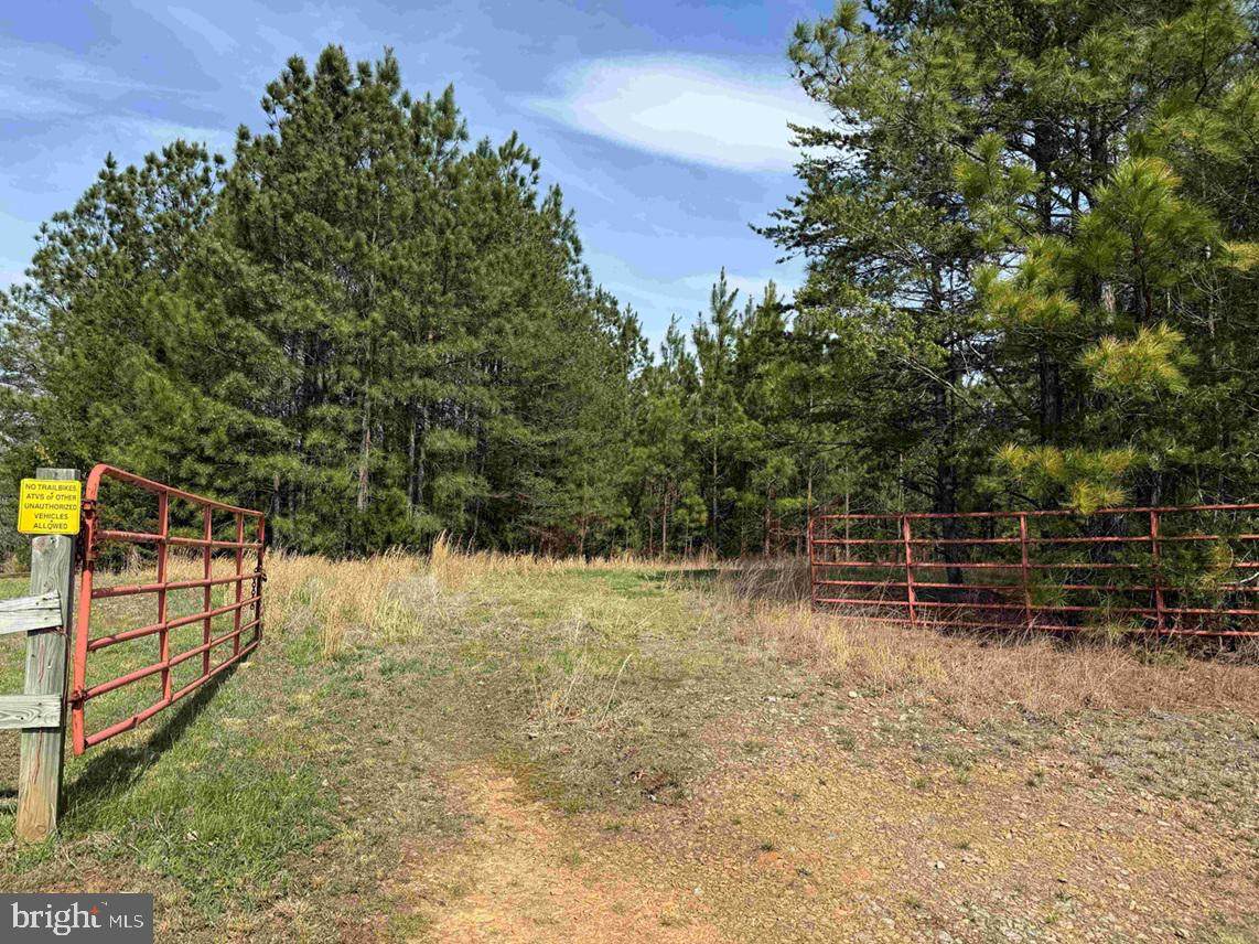  Water Oak Road (Tract: C119 Wingfield) - Photo 1