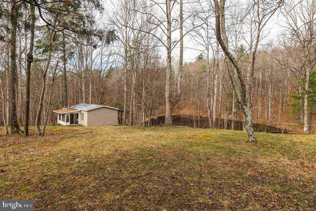 Lot 1 Hopkins Gap Rd - Photo 1