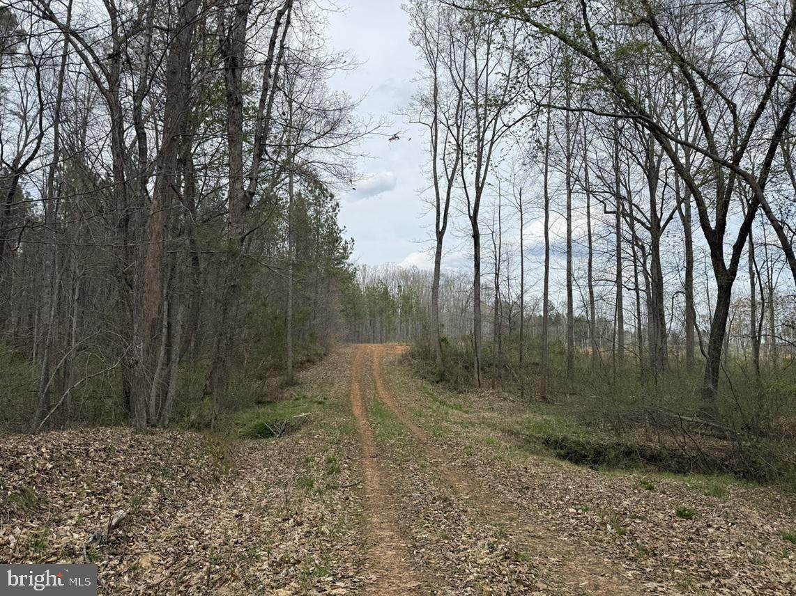  Dodson Road (Tract: C117 Adams-Thompson) - Photo 1