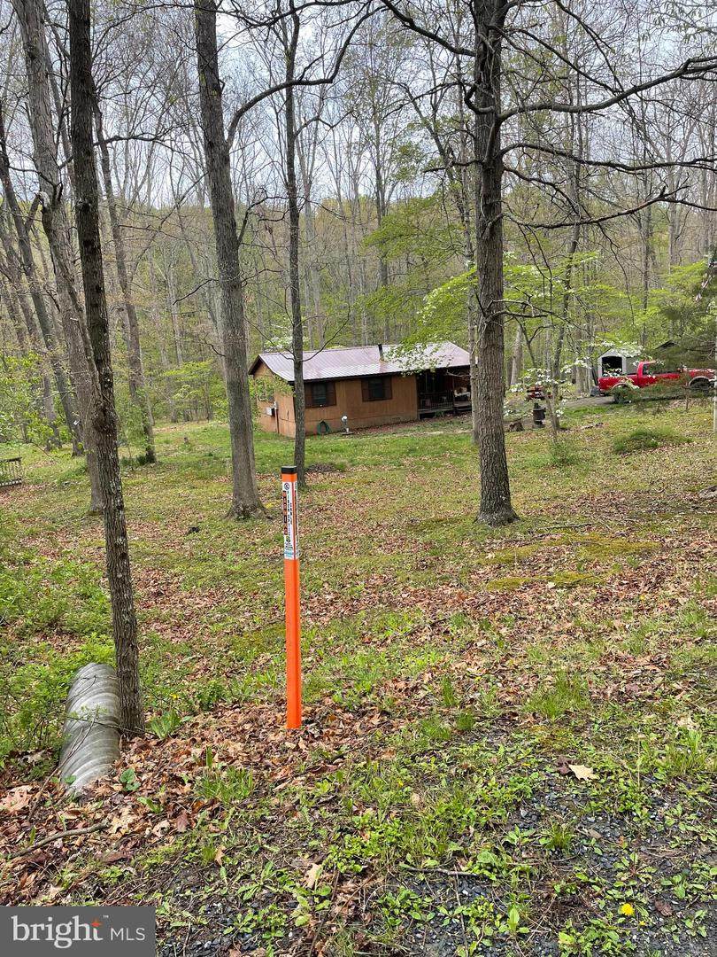 462 Trout Stream Road - Photo 1
