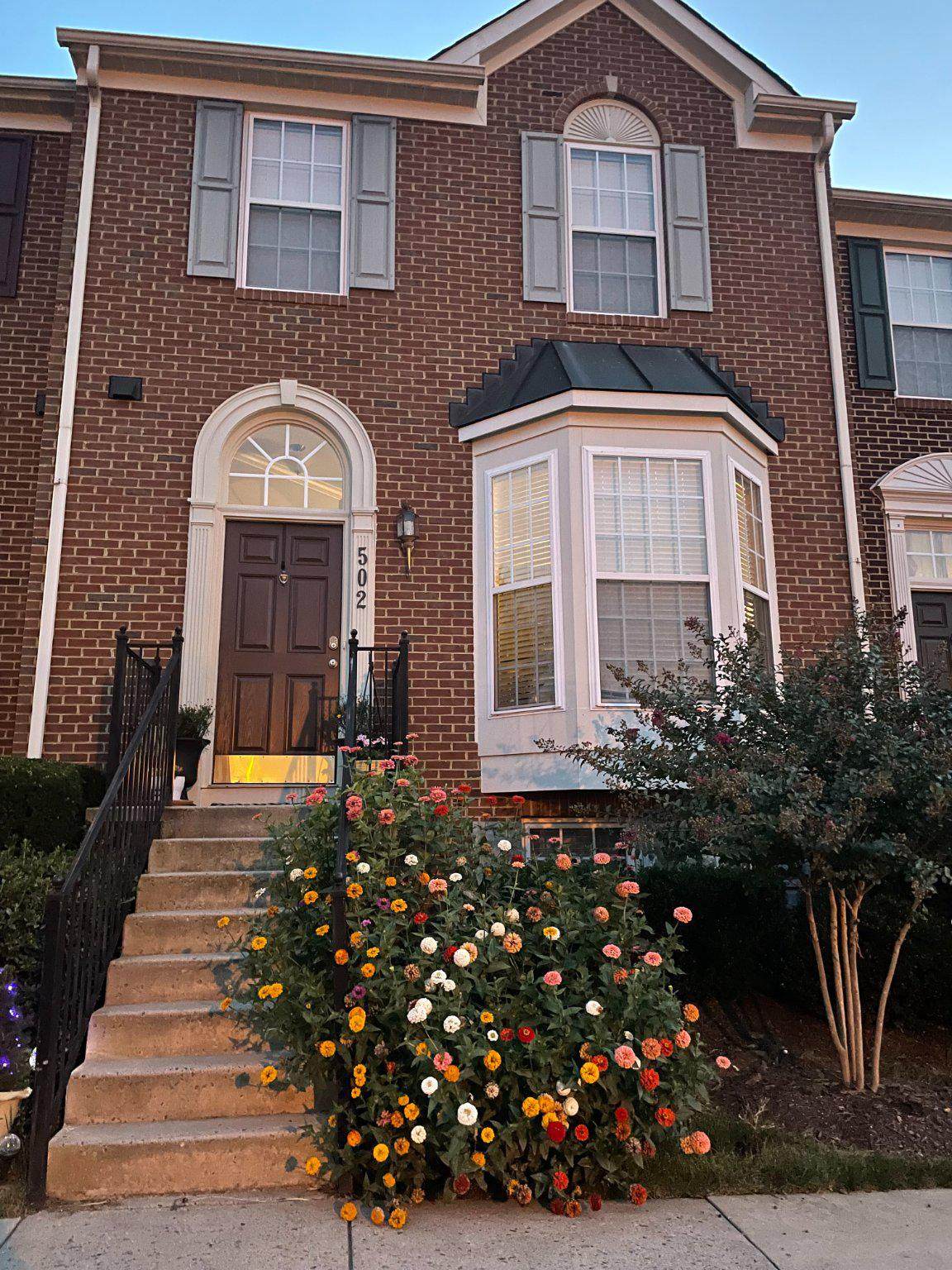502 Stone Springs Lane - Photo 1