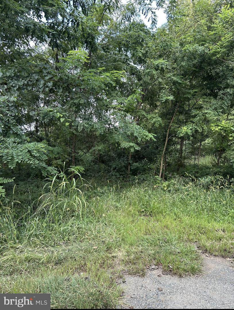 129 Bowler Lane - Photo 1
