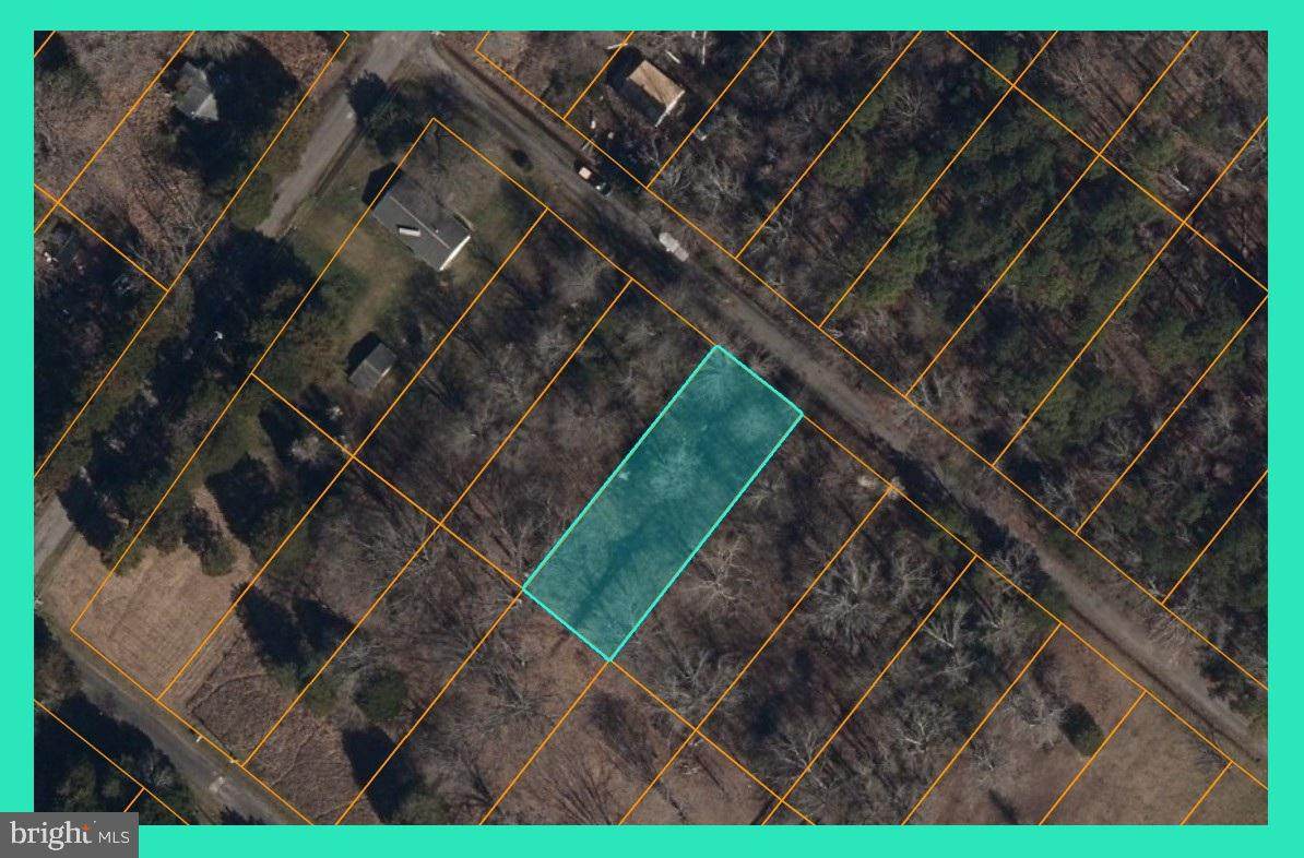  Woodbush Drive - Photo 1