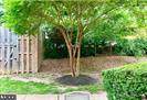 3330 Spring Lane - Photo 5