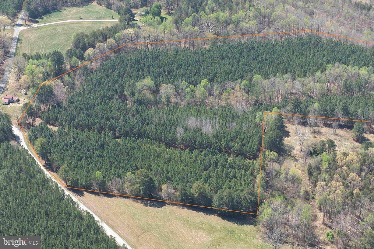  Dabney House Rd. - (Tract: Pittsylvania Compton-1) - Photo 1