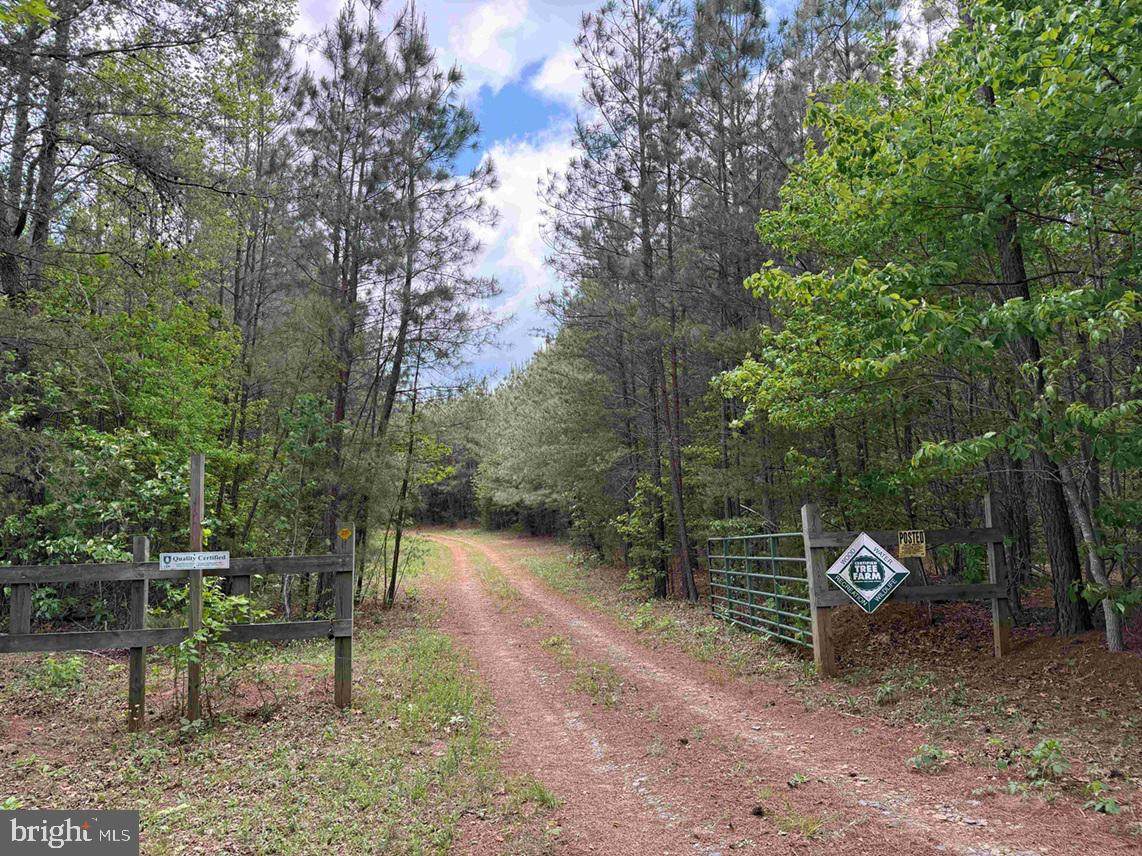  Bell Road (Tract: Moore North) - Photo 1