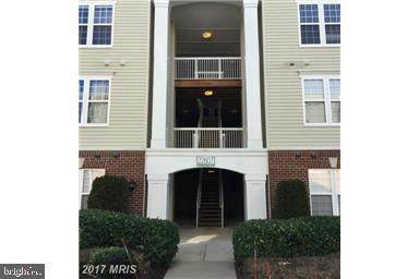 22607 Blue Elder Terrace - Photo 1