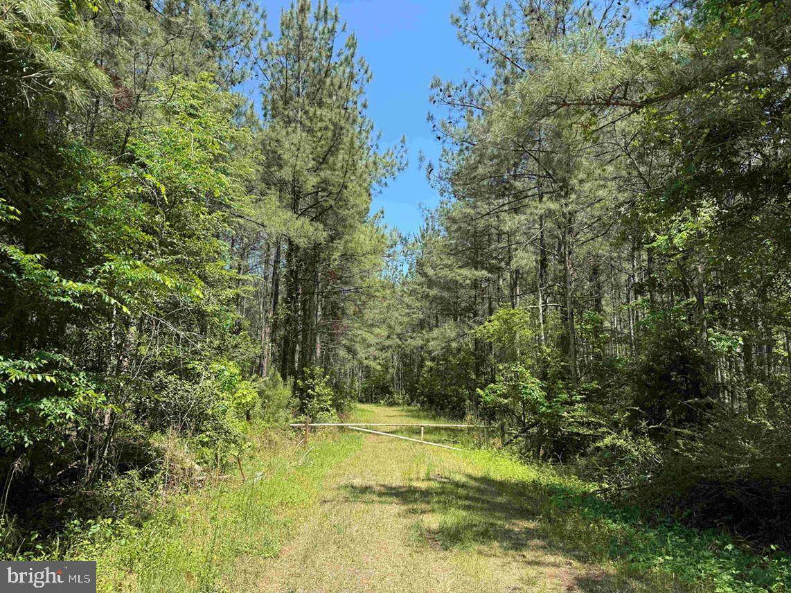  Brantley Moore Turnpike (Tract Azalea Comp 17) - Photo 1