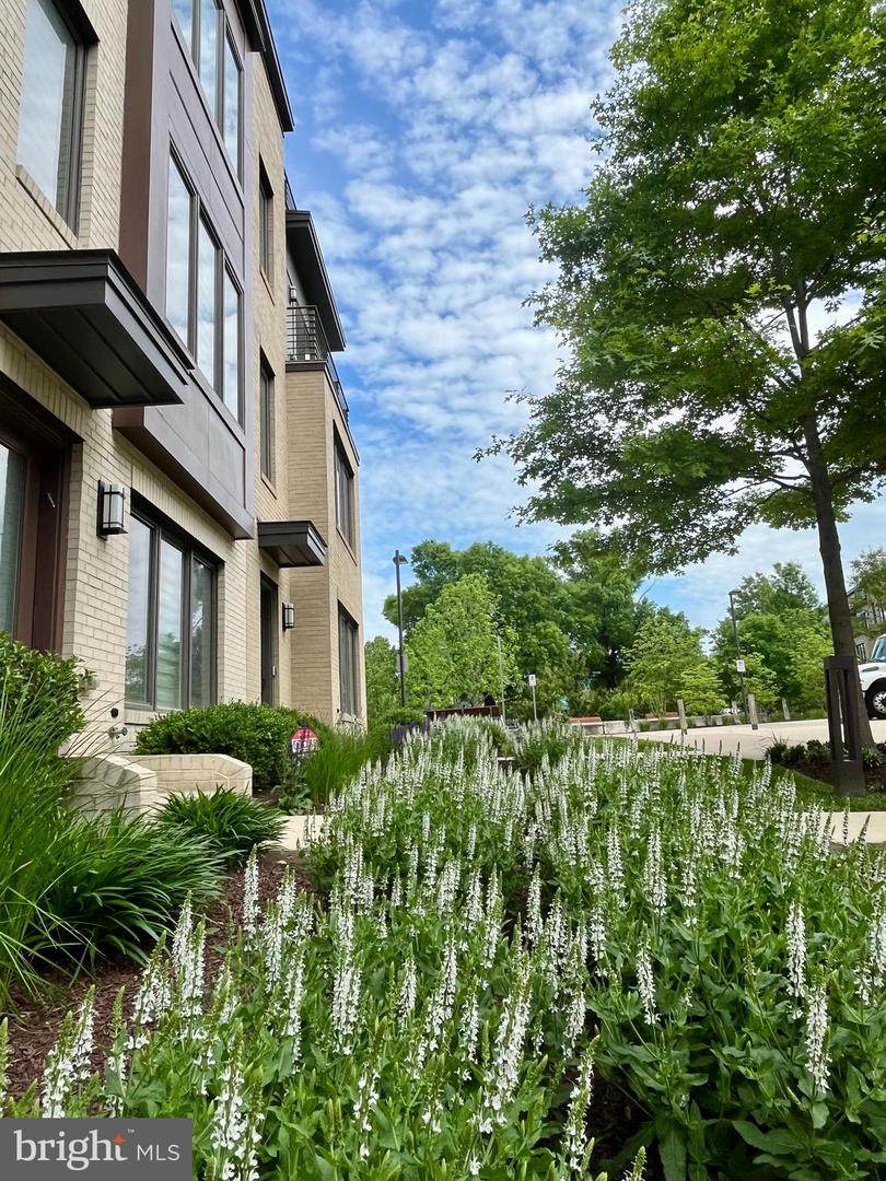 6680 Eames Way - Photo 1