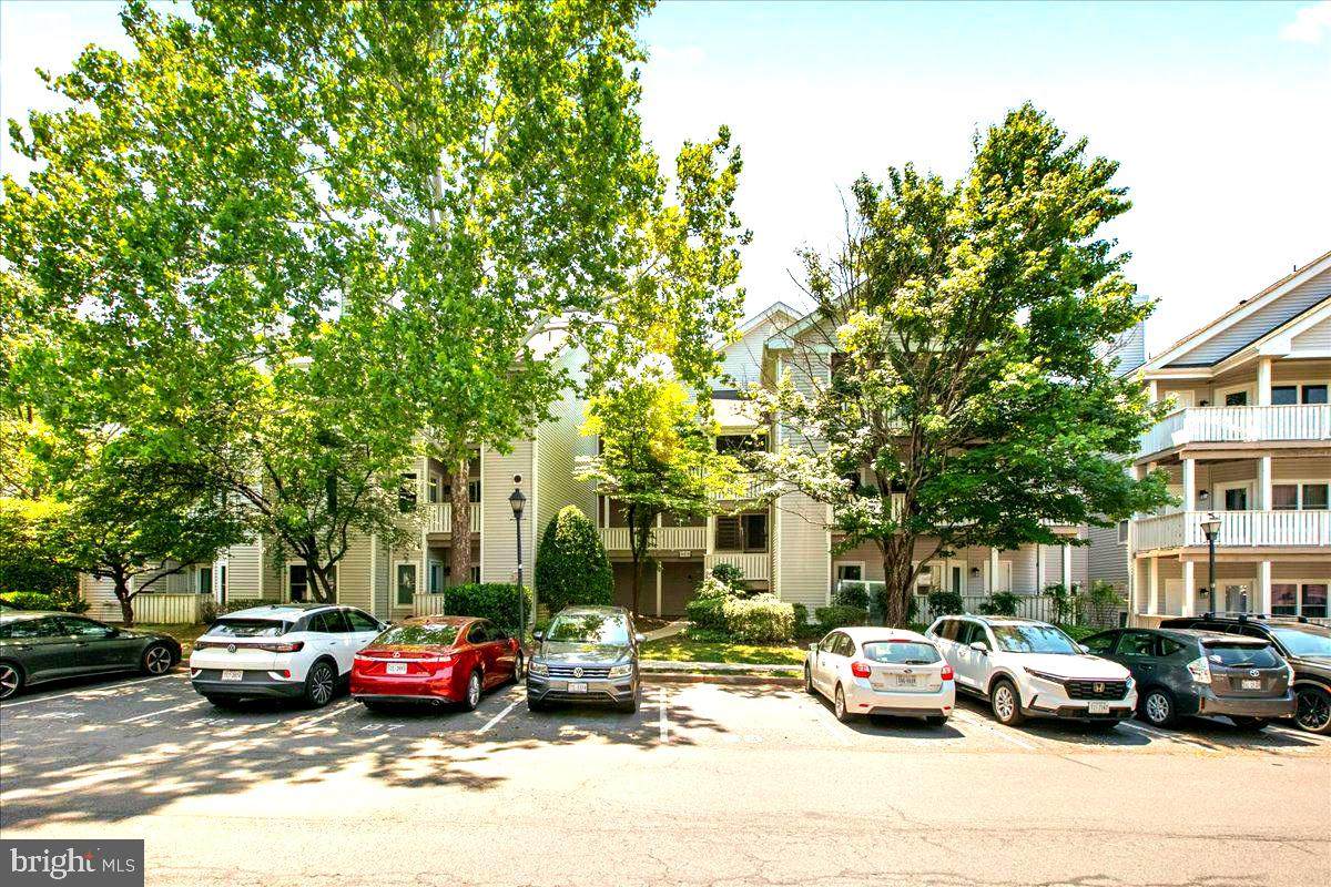 14305 Climbing Rose Way - Photo 1