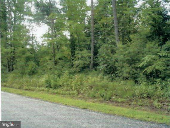  Colinbrook Way - Photo 1
