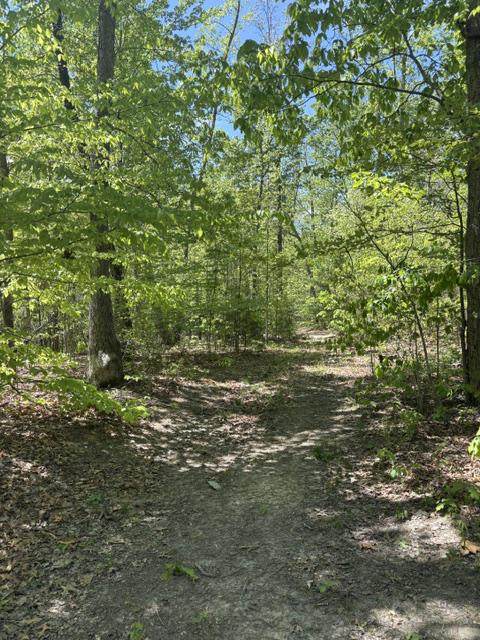  Davis Lane - Photo 1