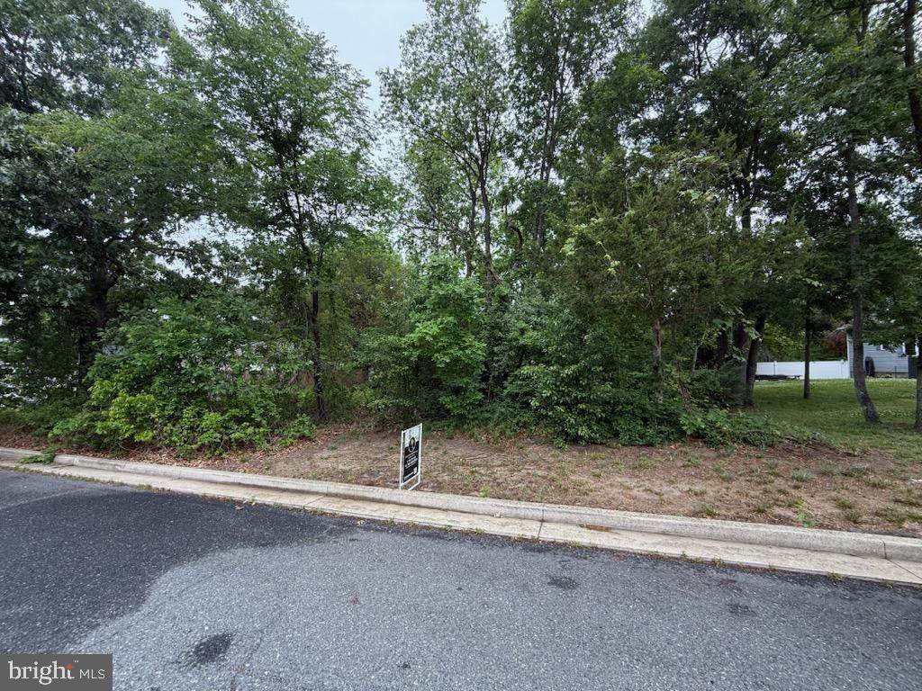  Charlotte Avenue - Photo 1