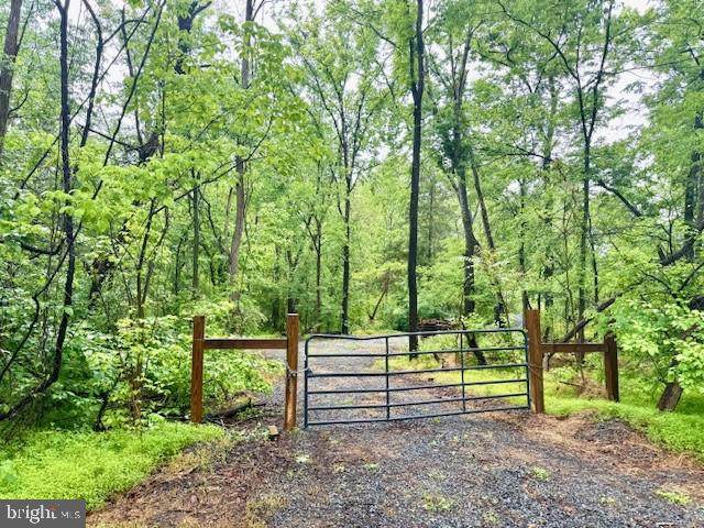  Slaughters Mill Road - Photo 1