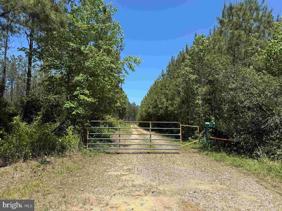  Laurel Springs Road (Tract: Dr. Williams-1) - Photo 1