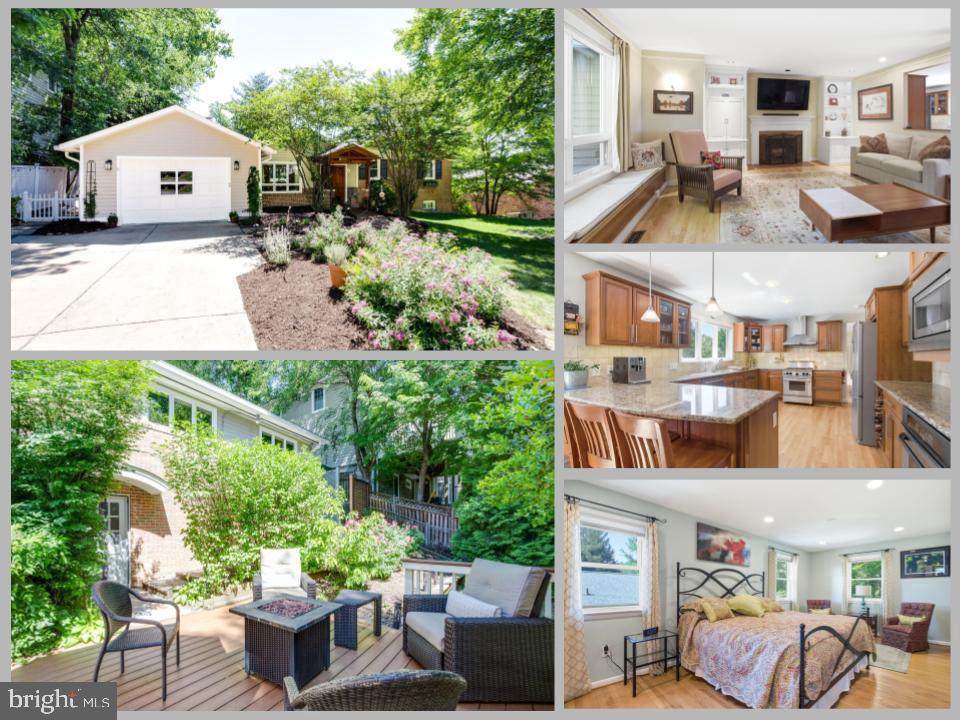 6505 Blue Wing Drive - Photo 1