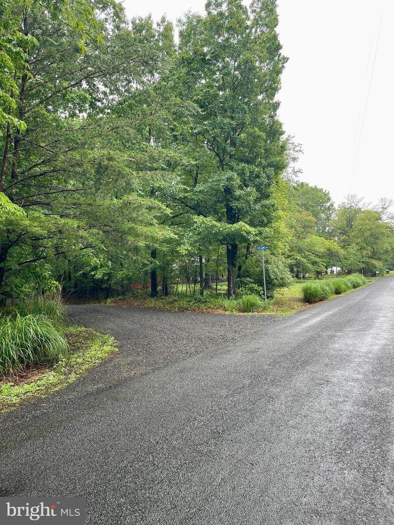  Carsons Way - Photo 1