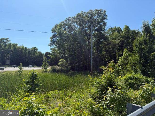 0 Bunker Hill Road - Photo 1