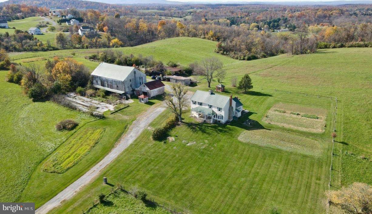 3105 Apple Pie Ridge Road - Photo 1