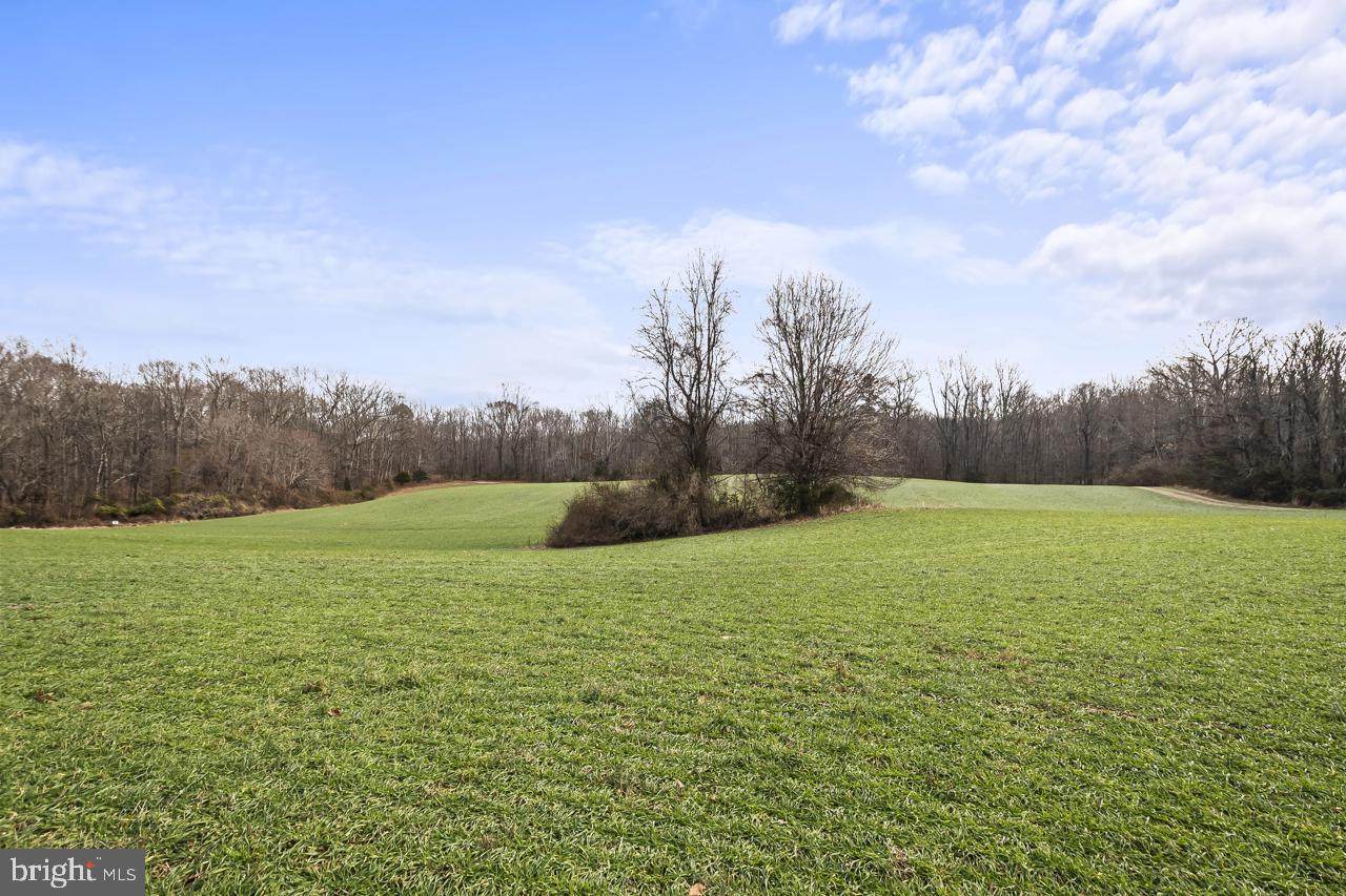 7389 Leeds Manor Road - Photo 1