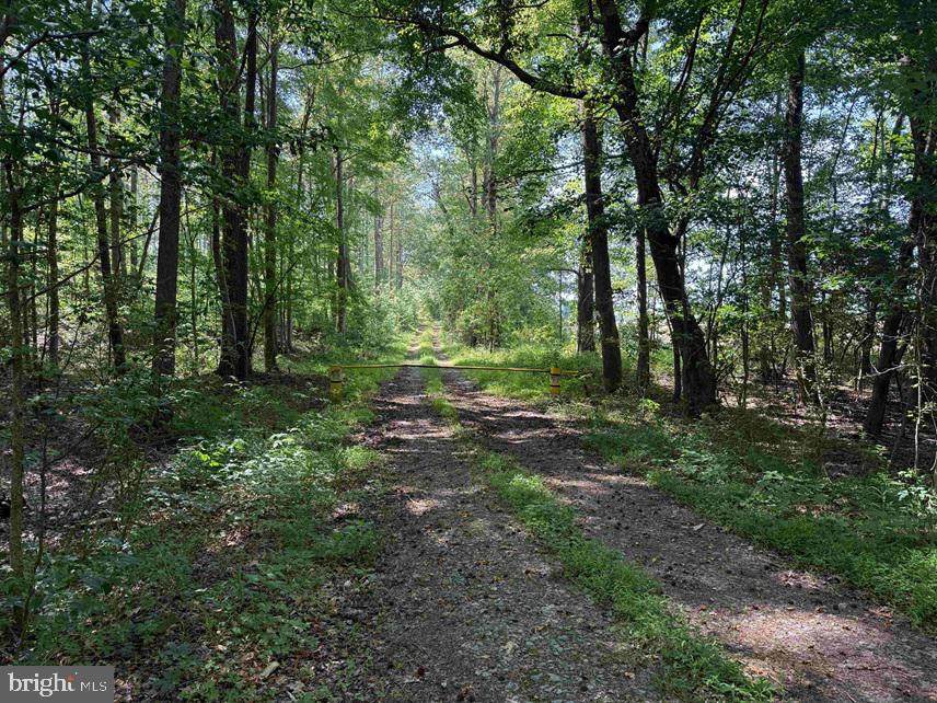  Dodlyt Road (Tract: Bk2932) - Photo 1