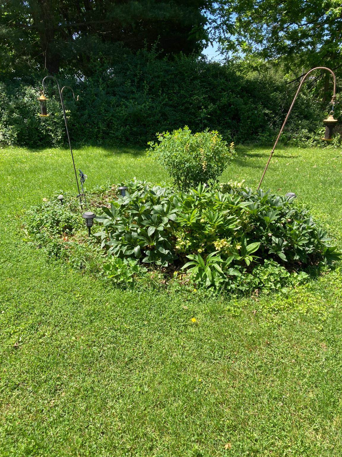 https://bt-photos.global.ssl.fastly.net/brightmls/orig_boomver_1_804996119652-2.jpg