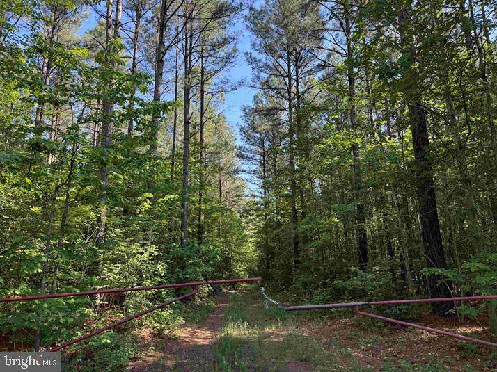  Brandy Creek Road (Tract: The Family Tree) - Photo 1